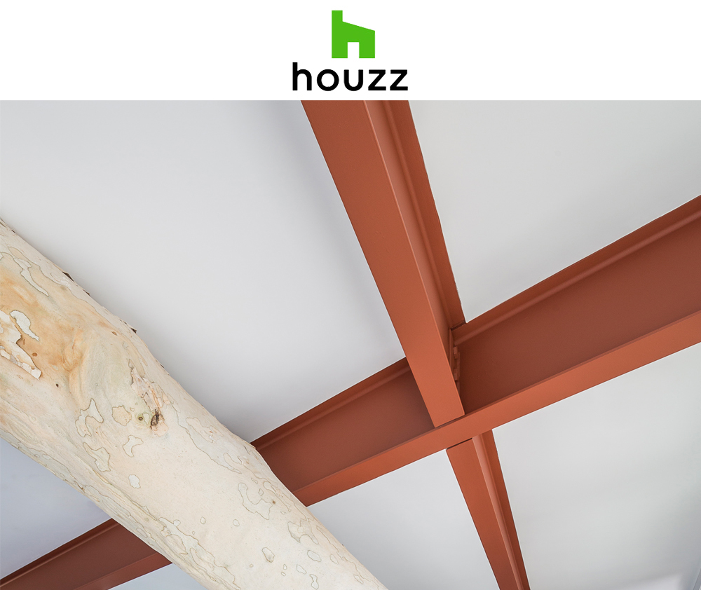 Houzz, May 27, 2016, How to Use Trees Inside
